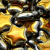 Star Beads